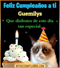Gato meme Feliz Cumpleaños Guemilys